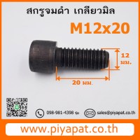 M12x20 โปร